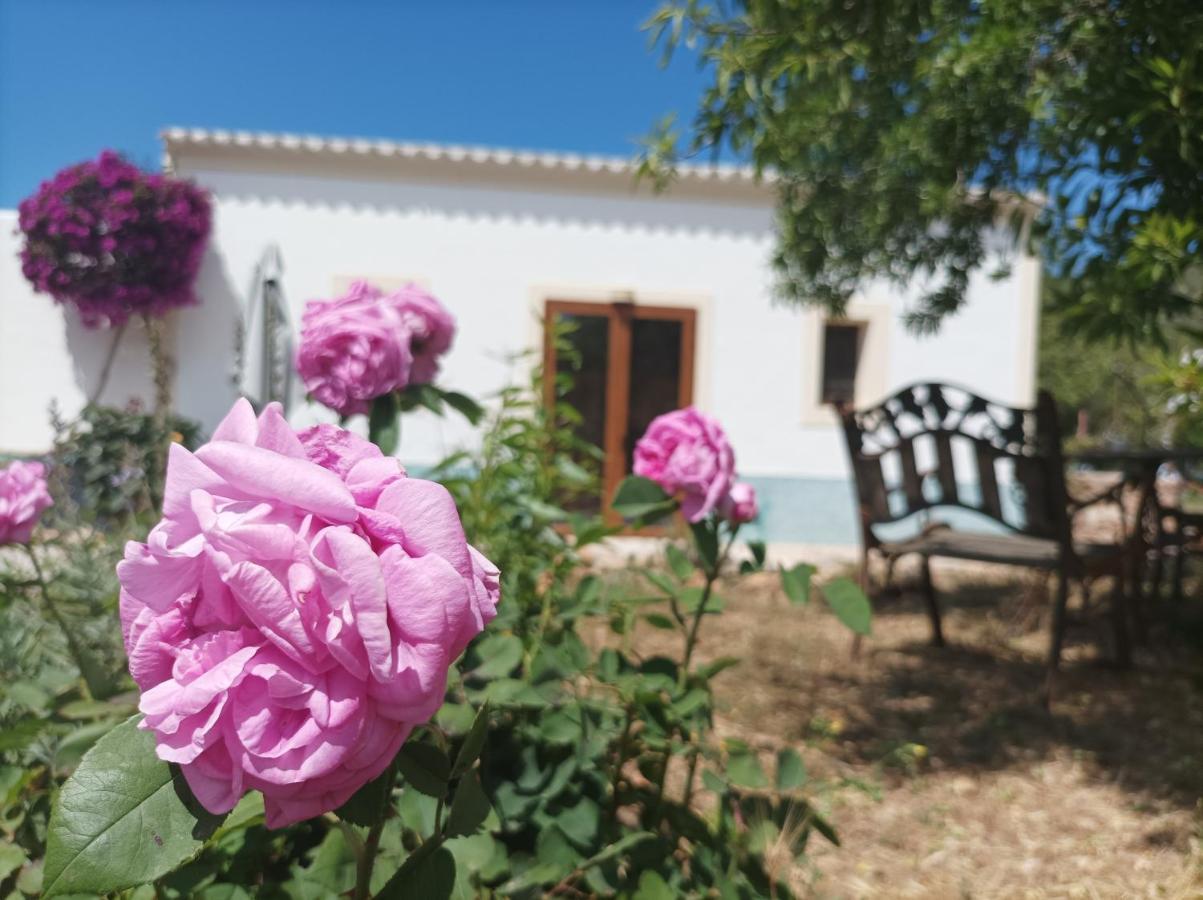 Can Pep Pardal Sant Miquel De Balansat Bagian luar foto