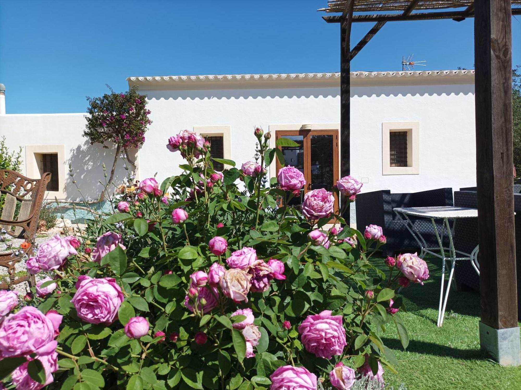Can Pep Pardal Sant Miquel De Balansat Bagian luar foto
